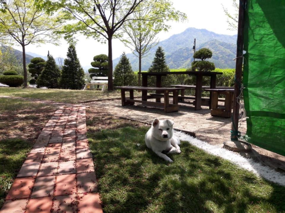 Chamjoeun Pension Chechon Ngoại thất bức ảnh