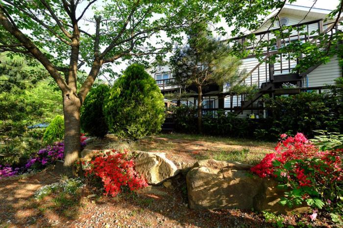 Chamjoeun Pension Chechon Ngoại thất bức ảnh